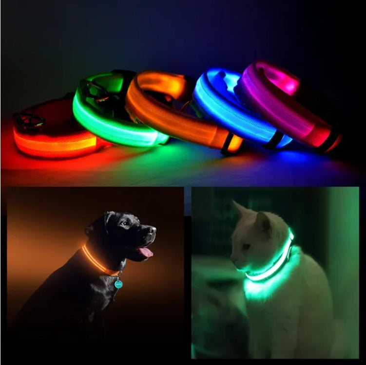 LED Safety Halo Pet Collar