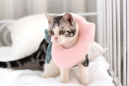 Adjustable Soft Lemon Pet Recovery Collar