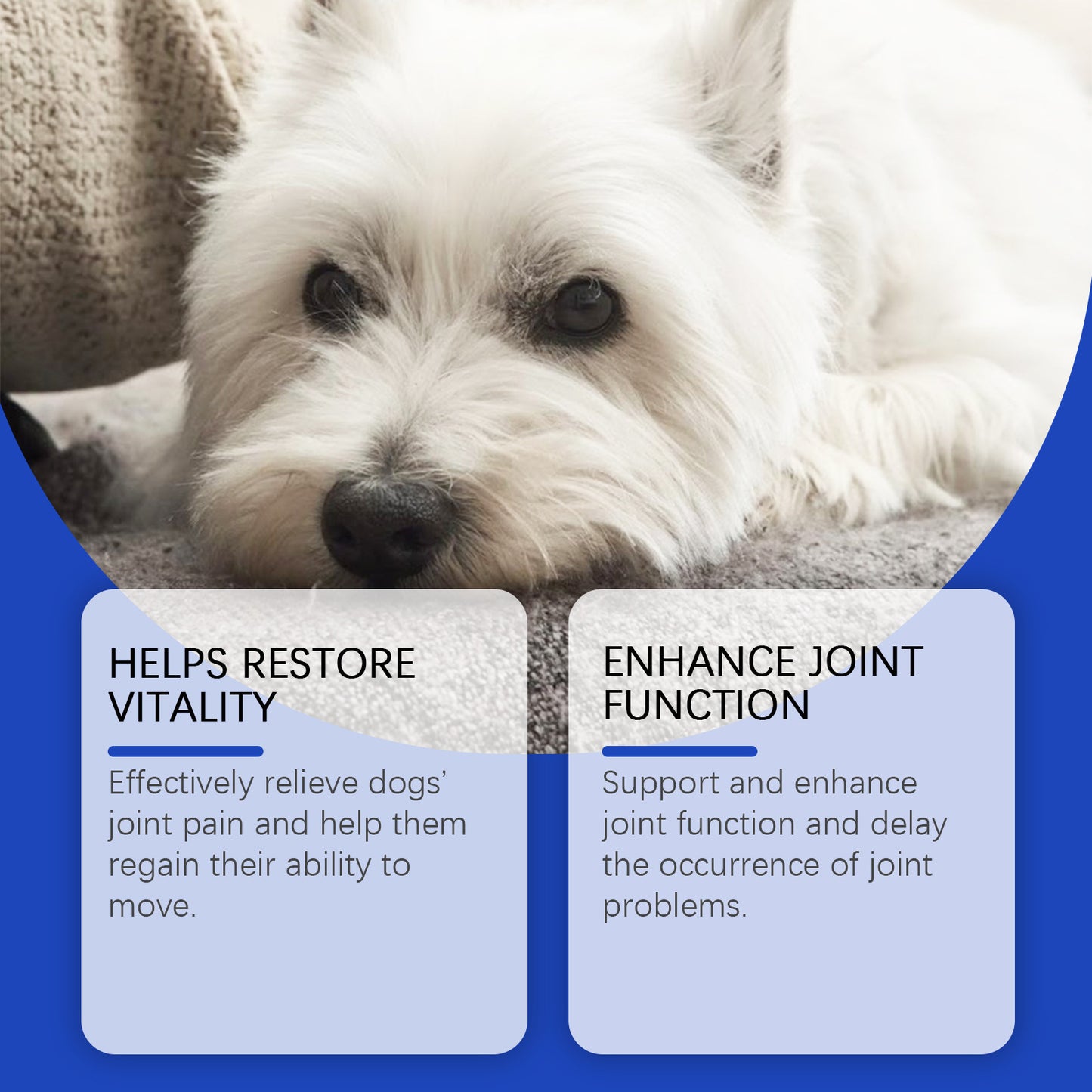 Pet Dog Joint Supplements. Improves Nutrition And Joint Health Care
