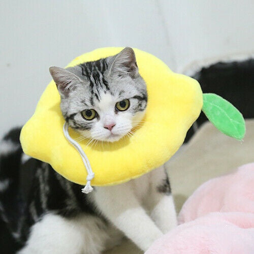 Adjustable Soft Lemon Pet Recovery Collar