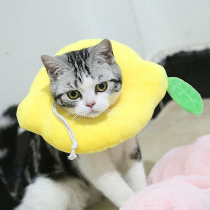 Adjustable Soft Lemon Pet Recovery Collar