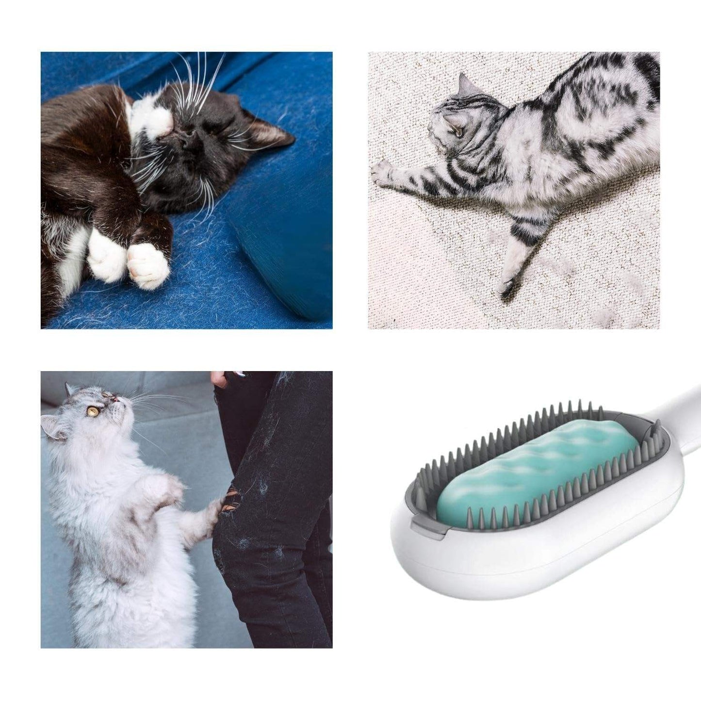 4-in-1 Cat & Dog Grooming Brush with Water