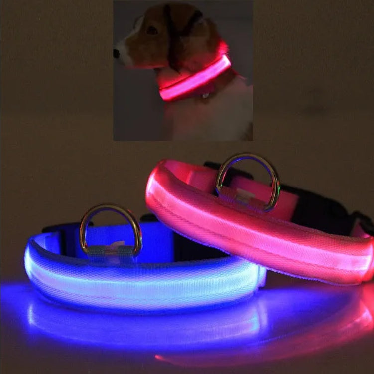 LED Safety Halo Pet Collar