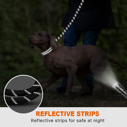 Hands-Free Elastic Dog Leash with Harness