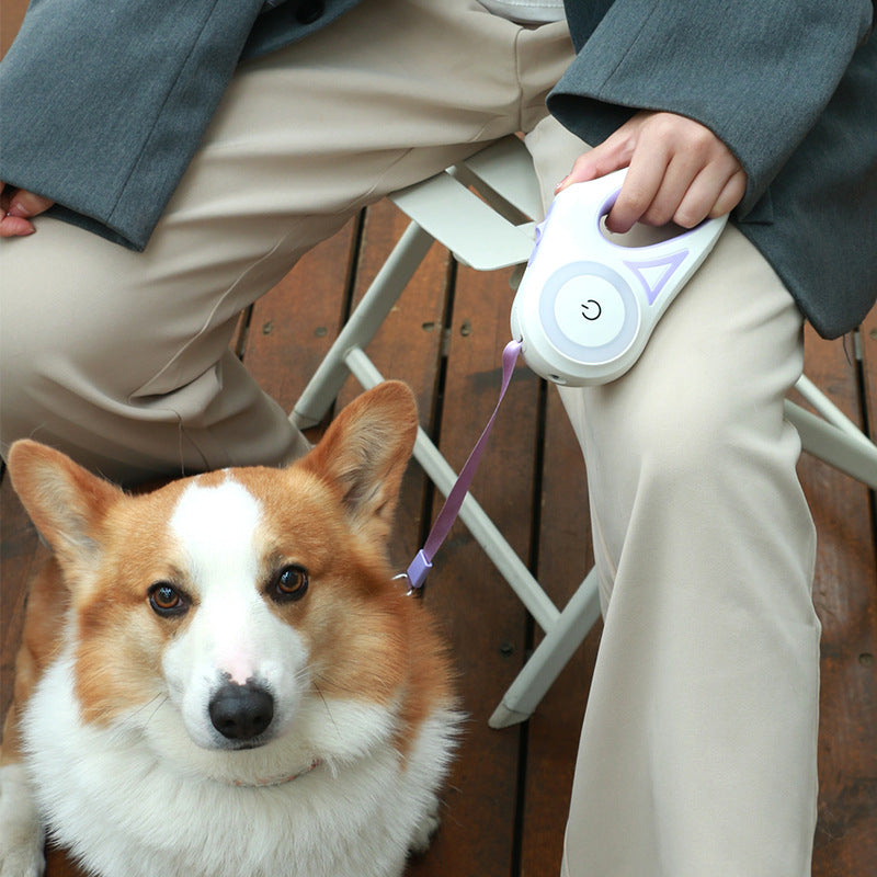 Retractable  Dog Leash With Night Light