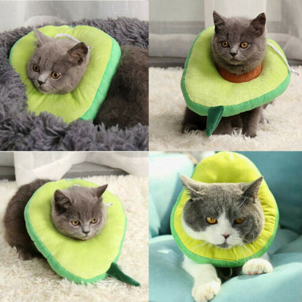 Adjustable Soft Lemon Pet Recovery Collar