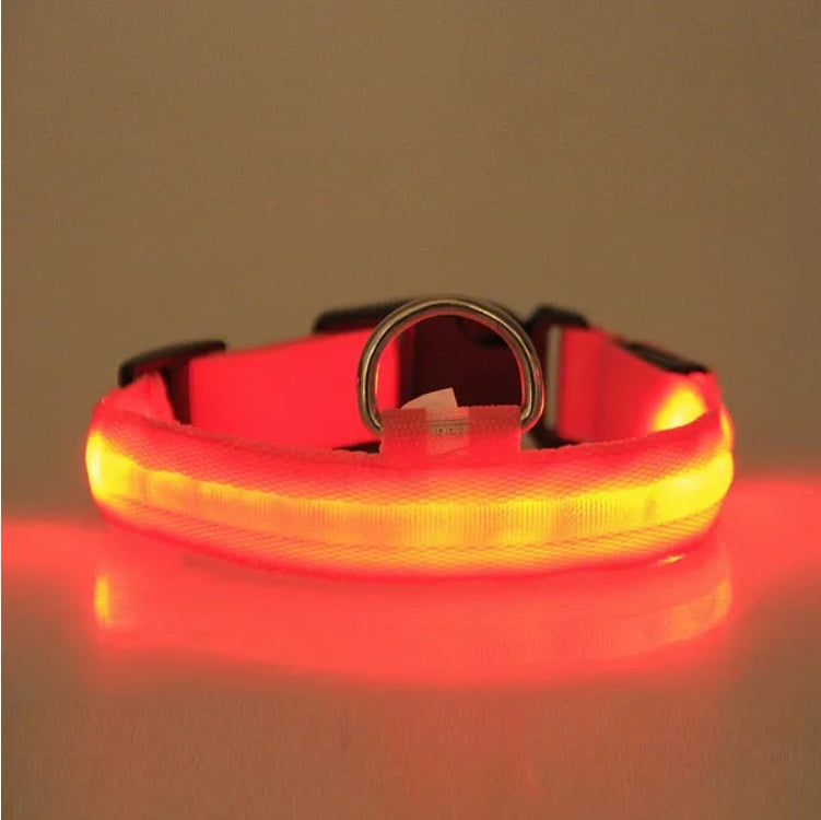 LED Safety Halo Pet Collar