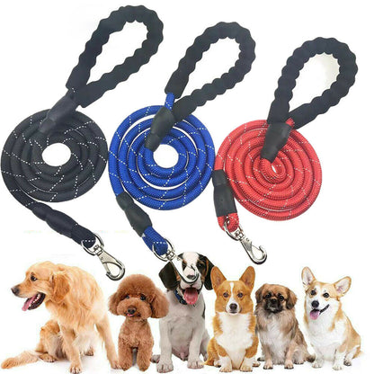 Hands-Free Elastic Dog Leash with Harness