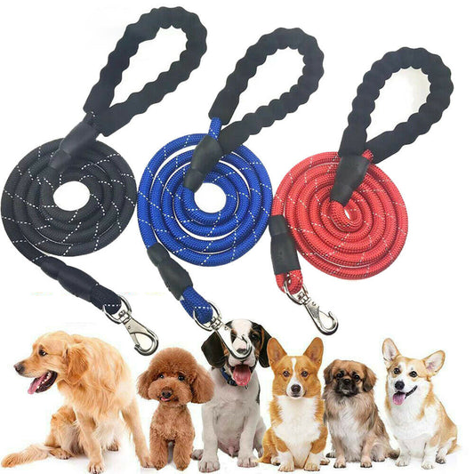Hands-Free Elastic Dog Leash with Harness