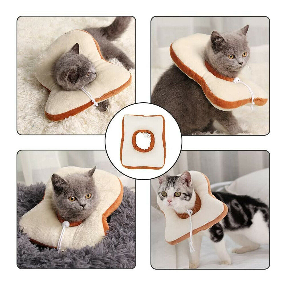 Adjustable Soft Lemon Pet Recovery Collar