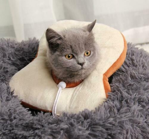 Adjustable Soft Lemon Pet Recovery Collar
