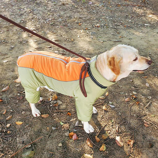 Large  and  Medium Dog Coat